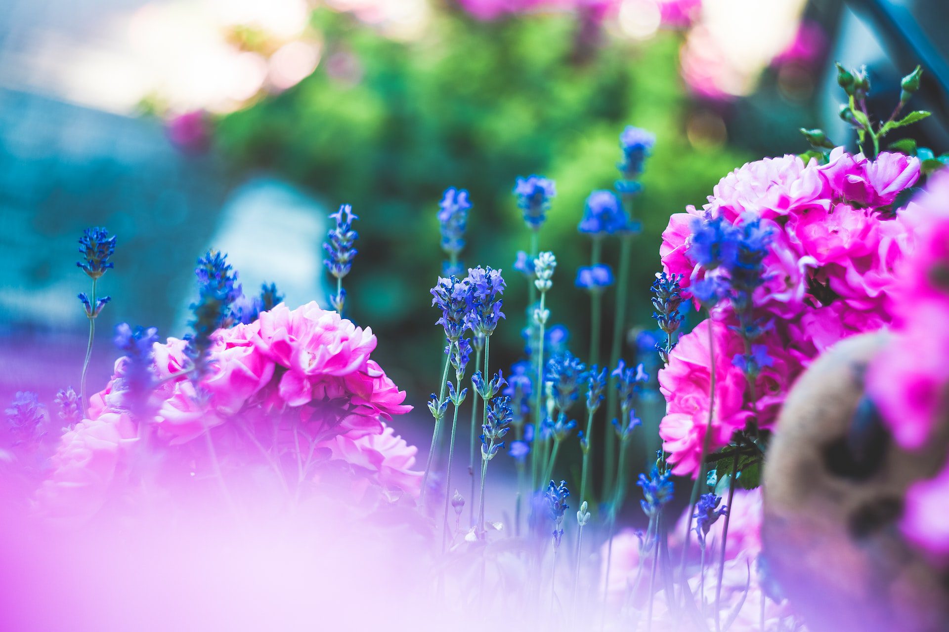 markus-spiske--UwA6gLNAH0-unsplash